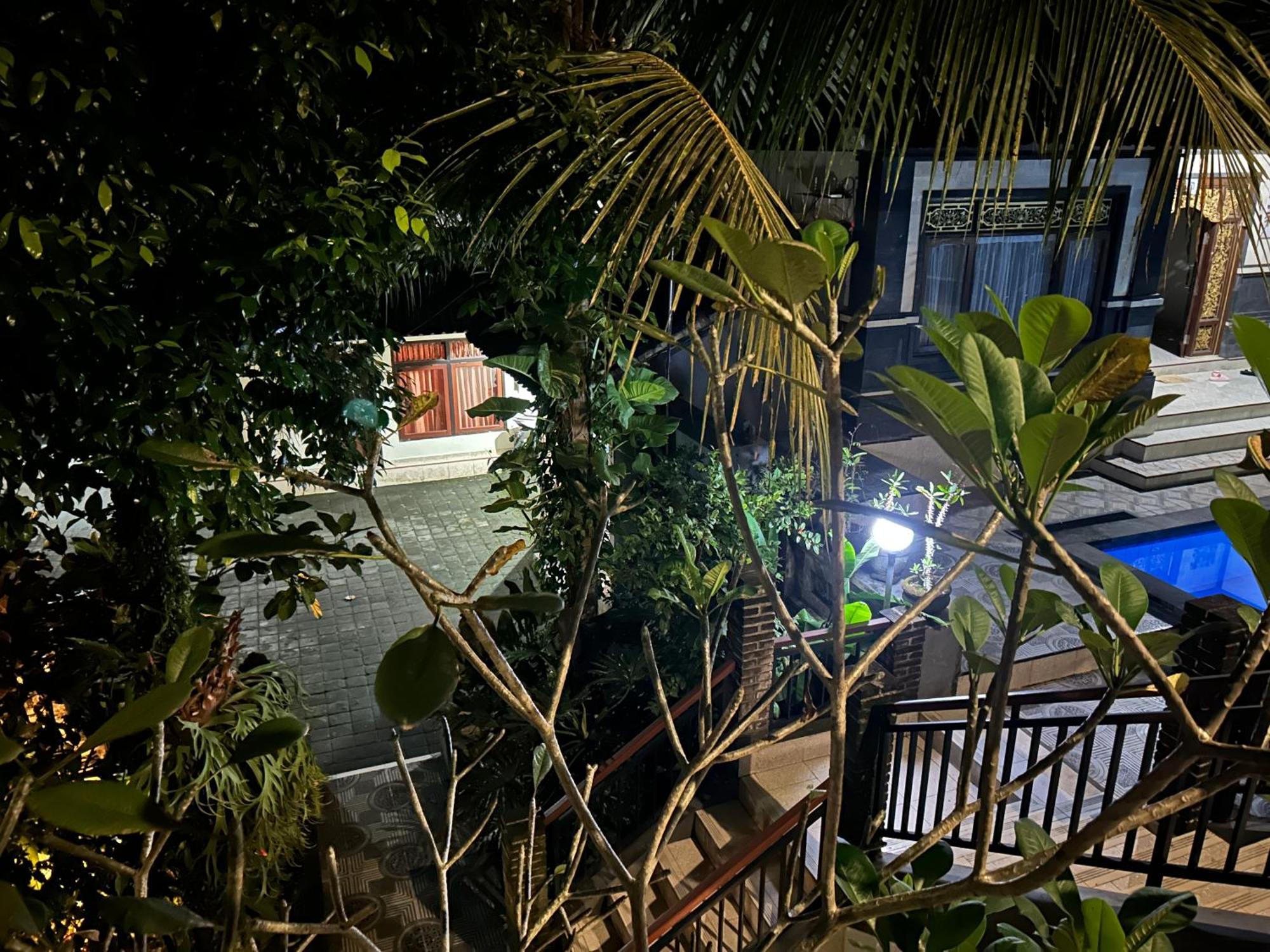 Balimas Guest House Ουμπούντ Εξωτερικό φωτογραφία